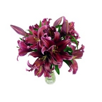 Large Pink Lily Bouquet