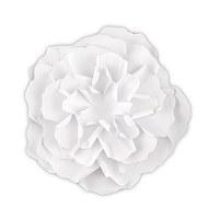 Large DIY Paper Peony DÃ©cor F...