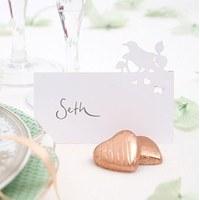 Laser Cut Out Bird Place Cards Pack