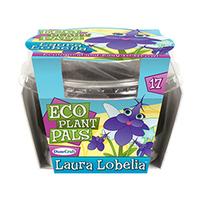 laura lobelia eco plant pal