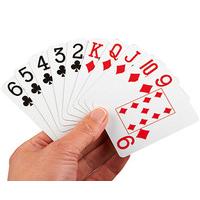 Large Print Playing Cards 2-Pack