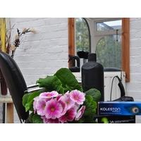 Ladies Cut and Blowdry