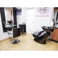 Ladies Wash, Cut and Blowdry