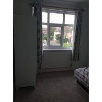 Large single room available
