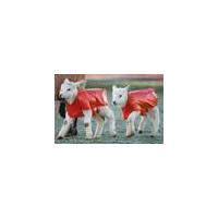 Lamb Blankets, red, universal size, Set of 25