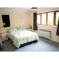 Large rooms available in spacious house share