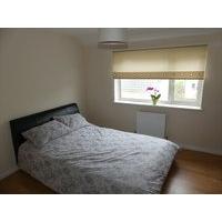 Large double room to let
