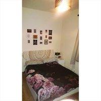 Large Double room to rent. Females Flatshare. £490