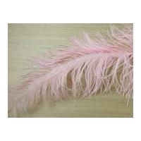 Large Spadone Feathers Pale Pink
