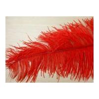 Large Spadone Feathers Red