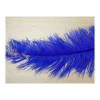 Large Spadone Feathers Royal Blue