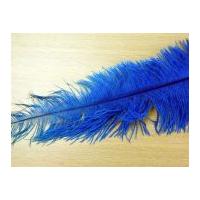 Large Spadone Feathers Turquoise