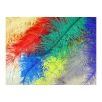 Large Spadone Feathers Assorted Colours (May Vary)