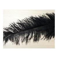 Large Spadone Feathers Black