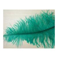 Large Spadone Feathers Emerald Green