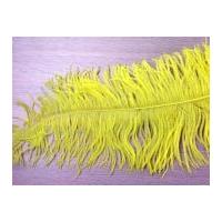 Large Spadone Feathers Yellow