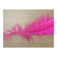 Large Spadone Feathers Cerise Pink