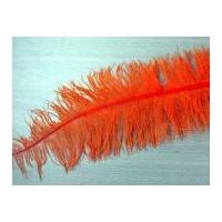 Large Spadone Feathers Orange