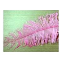Large Spadone Feathers Light Cerise Pink