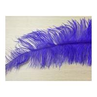 Large Spadone Feathers Purple