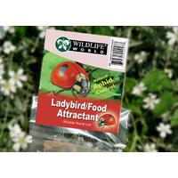 Ladybird Food Attractant