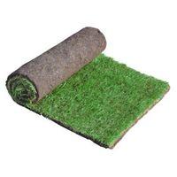 lawn turf w610mm l1370mm roll of 50