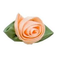 Large Ribbon Roses Light Peach