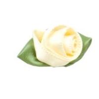 large ribbon roses cream