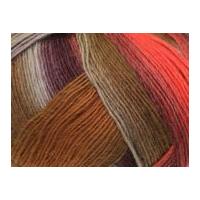Lang Yarns Jawoll Magic Degrade Sock Knitting Yarn Coral/Aubergine/Brown
