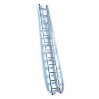 LADDER - SINGLE SECTION
