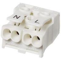 Lamp terminal flexible: -2.5 mm² rigid: -2.5 mm² Number of pins: 2 Adels-Contact LK980-01/2B 1 pc(s) White