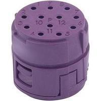 LappKabel 73002740 EPIC® M23 8+1P EPIC CIRCON M23 Socket Insert 20 A bei 2 mm Kontakt 7 A bei 1 mm Kontakt