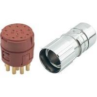 LappKabel 75009702 EPIC® KIT M23 D6 12-POL FEMALE EPIC M23 12-pin Connector In The Set 7 A