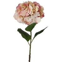 Large Pink Hydrangea (Set of 4)