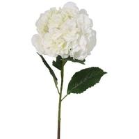 Large White Hydrangea (Set of 4)