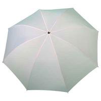 Lastolite 78cm Umbrella - Translucent White