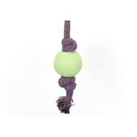 large green dogs ball on a rope toy