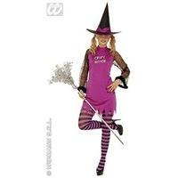 ladies spicy witch ppleorangegreenpink costume medium uk 10 12 for hal ...