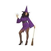Ladies Witch Purple Costume Small Uk 8-10 For Halloween Fancy Dress