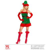 Large Ladies Santa\'s Elf Costume