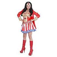 large ladies super hero girl costume