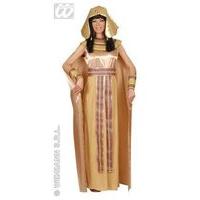 Ladies Nefertiti Gold Deluxe Dress Costume Medium Uk 10-12 For Egyptian Ancient