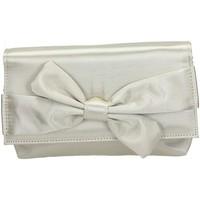 Lara Vani B5 Clutch women\'s Pouch in BEIGE