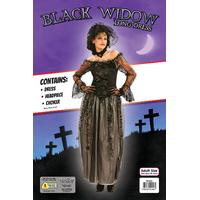 Ladies Black Widow Long Halloween Costume