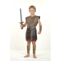 Large Boys Warrior Costume