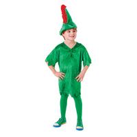 Large Boys Deluxe Peter Costume