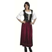 Ladies Victorian Wench Costume