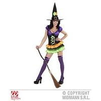 Ladies Glam Witch Costume Small Uk 8-10 For Halloween Fancy Dress