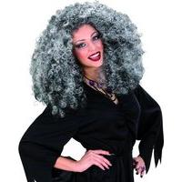 Ladies Witch In Polybag Wig For Hair Accessory Fancy Dress
