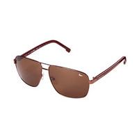 lacoste sunglasses l162s 210